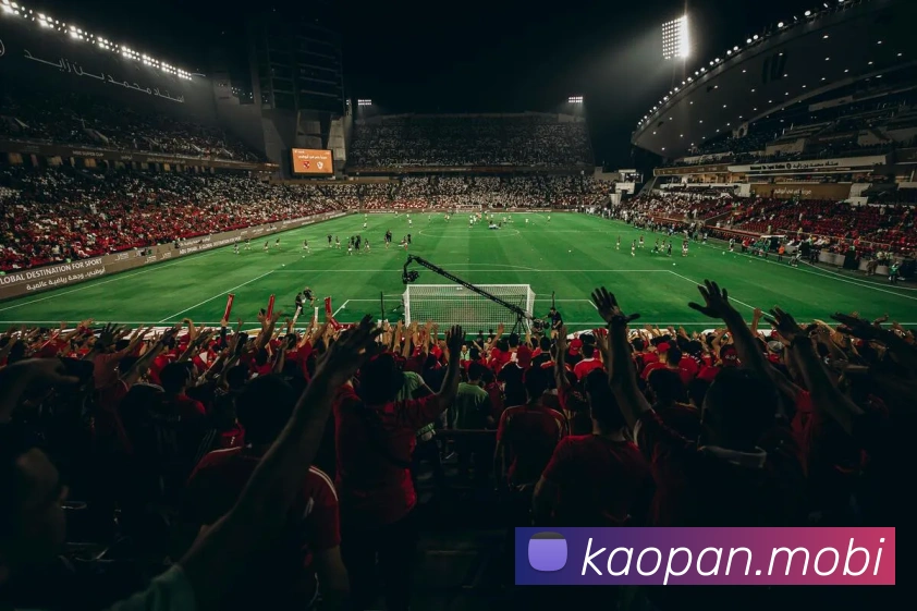 开云app在线入口-开云kaiyun体育App界面
